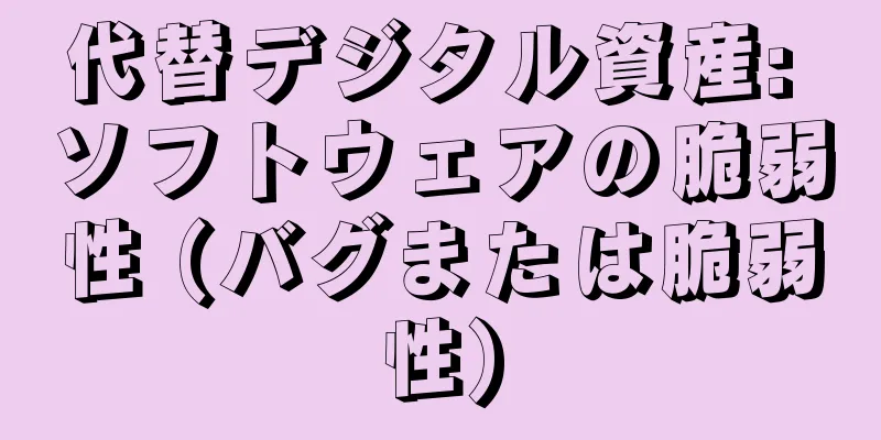 代替デジタル資産: ソフトウェアの脆弱性 (バグまたは脆弱性)