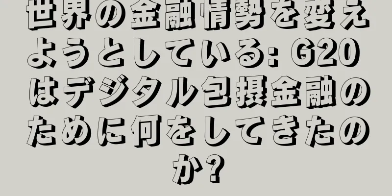 世界の金融情勢を変えようとしている: G20 はデジタル包摂金融のために何をしてきたのか?