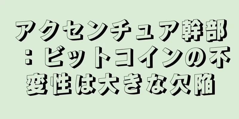 アクセンチュア幹部：ビットコインの不変性は大きな欠陥