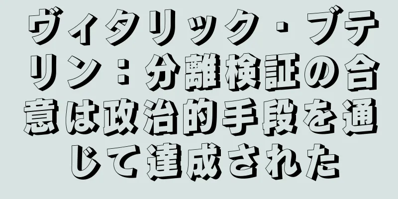 ヴィタリック・ブテリン：分離検証の合意は政治的手段を通じて達成された