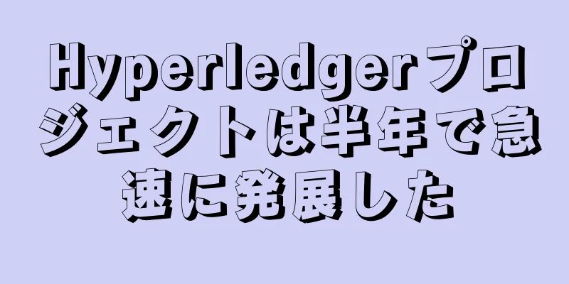 Hyperledgerプロジェクトは半年で急速に発展した