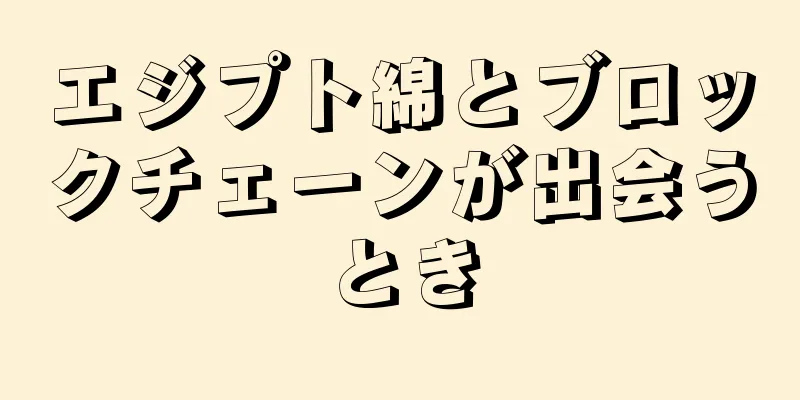 エジプト綿とブロックチェーンが出会うとき