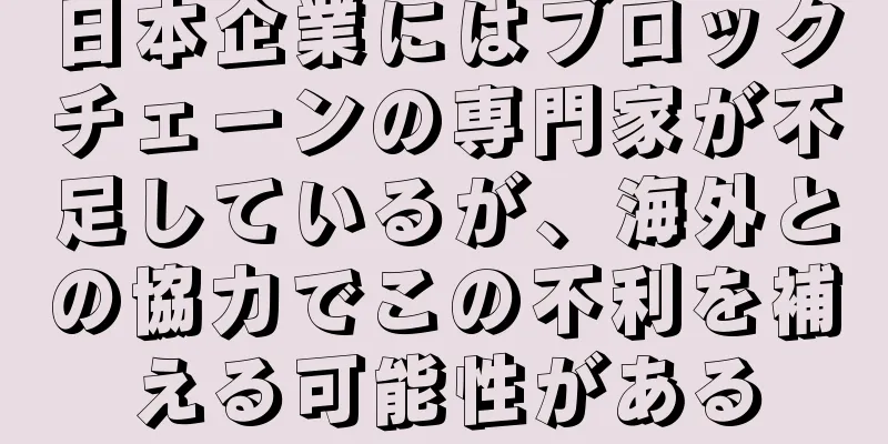 日本企業にはブロックチェーンの専門家が不足しているが、海外との協力でこの不利を補える可能性がある