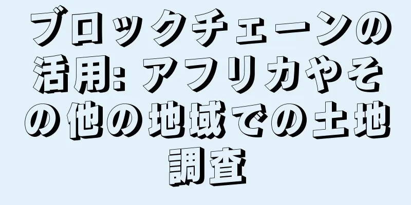 ブロックチェーンの活用: アフリカやその他の地域での土地調査