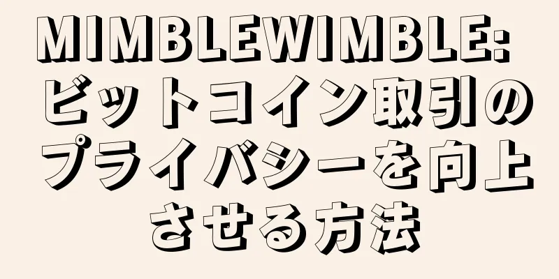 MIMBLEWIMBLE: ビットコイン取引のプライバシーを向上させる方法