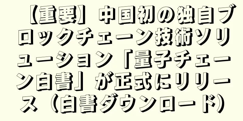 【重要】中国初の独自ブロックチェーン技術ソリューション「量子チェーン白書」が正式にリリース（白書ダウンロード）