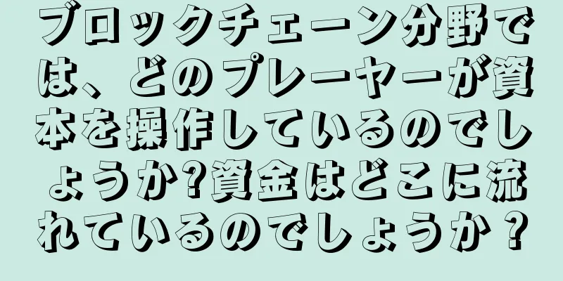 ブロックチェーン分野では、どのプレーヤーが資本を操作しているのでしょうか?資金はどこに流れているのでしょうか？