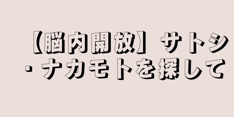 【脳内開放】サトシ・ナカモトを探して