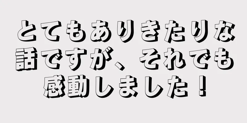 とてもありきたりな話ですが、それでも感動しました！