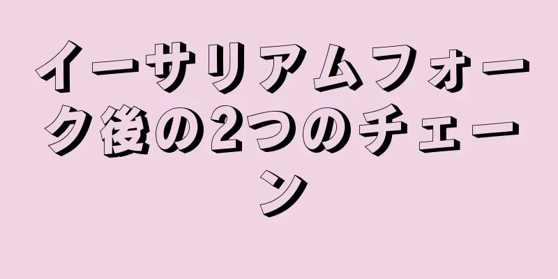 イーサリアムフォーク後の2つのチェーン