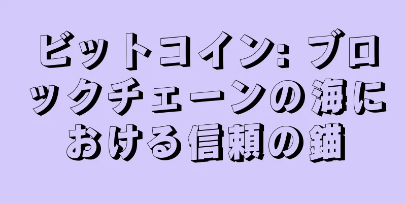 ビットコイン: ブロックチェーンの海における信頼の錨