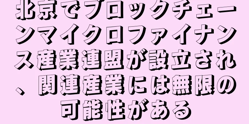 北京でブロックチェーンマイクロファイナンス産業連盟が設立され、関連産業には無限の可能性がある