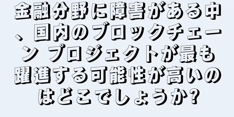 金融分野に障害がある中、国内のブロックチェーン プロジェクトが最も躍進する可能性が高いのはどこでしょうか?