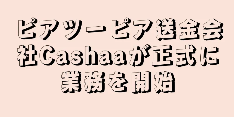 ピアツーピア送金会社Cashaaが正式に業務を開始