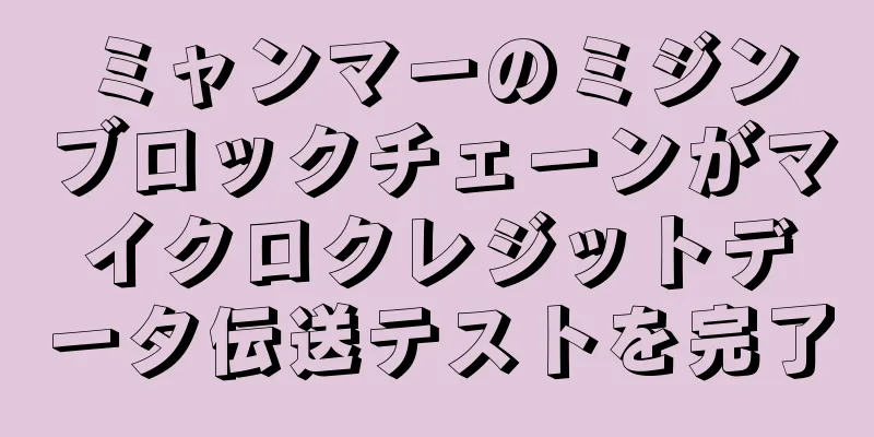 ミャンマーのミジンブロックチェーンがマイクロクレジットデータ伝送テストを完了