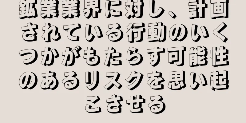 鉱業業界に対し、計画されている行動のいくつかがもたらす可能性のあるリスクを思い起こさせる