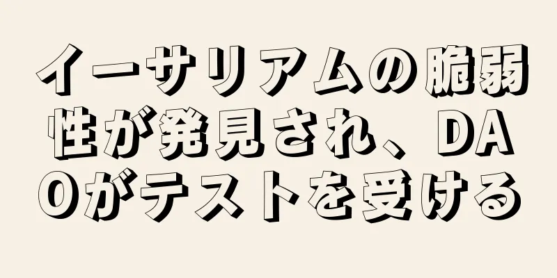 イーサリアムの脆弱性が発見され、DAOがテストを受ける