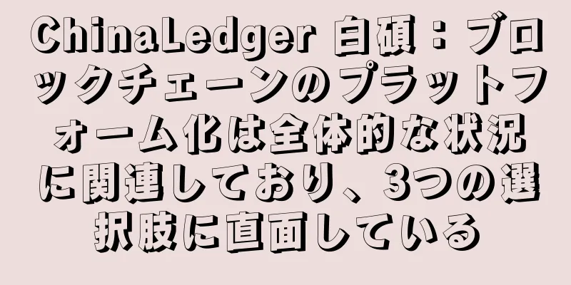 ChinaLedger 白碩：ブロックチェーンのプラットフォーム化は全体的な状況に関連しており、3つの選択肢に直面している