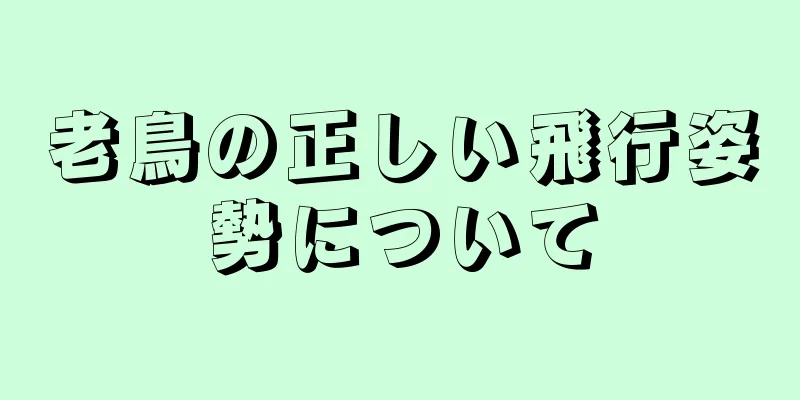 老鳥の正しい飛行姿勢について