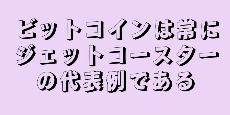 ビットコインは常にジェットコースターの代表例である
