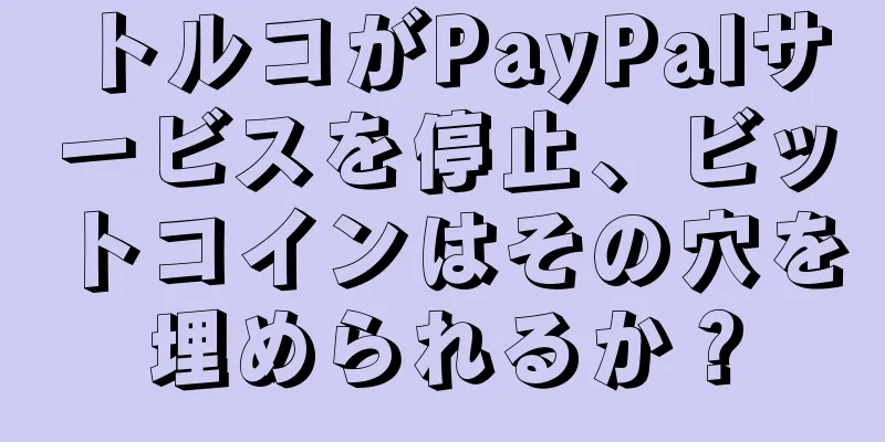 トルコがPayPalサービスを停止、ビットコインはその穴を埋められるか？