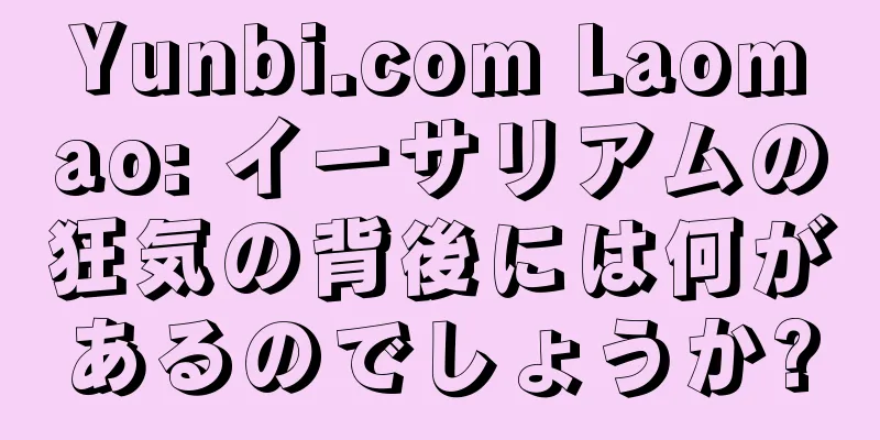 Yunbi.com Laomao: イーサリアムの狂気の背後には何があるのでしょうか?
