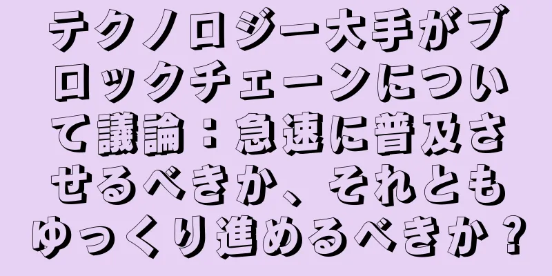 テクノロジー大手がブロックチェーンについて議論：急速に普及させるべきか、それともゆっくり進めるべきか？
