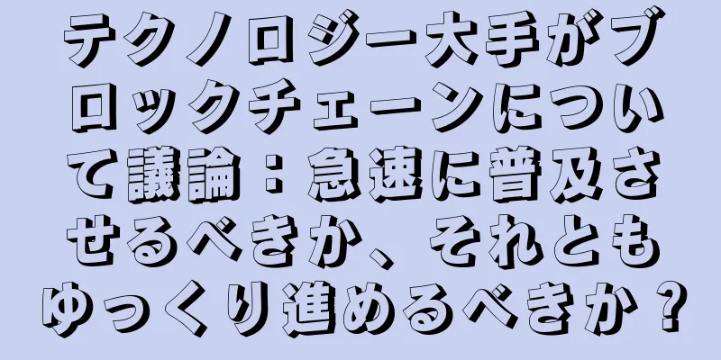 テクノロジー大手がブロックチェーンについて議論：急速に普及させるべきか、それともゆっくり進めるべきか？