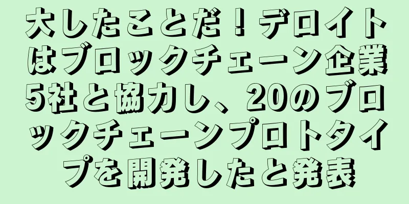 大したことだ！デロイトはブロックチェーン企業5社と協力し、20のブロックチェーンプロトタイプを開発したと発表