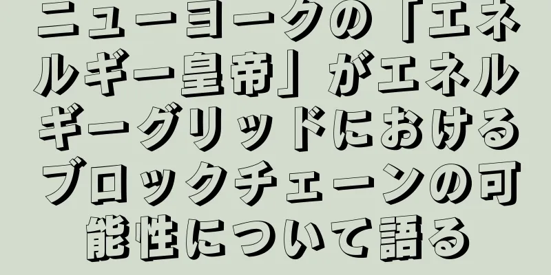 ニューヨークの「エネルギー皇帝」がエネルギーグリッドにおけるブロックチェーンの可能性について語る