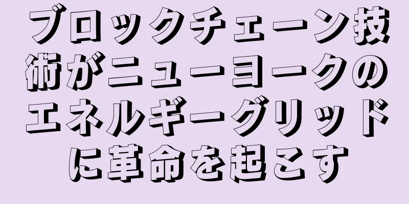 ブロックチェーン技術がニューヨークのエネルギーグリッドに革命を起こす