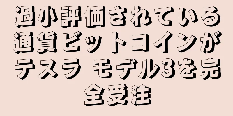 過小評価されている通貨ビットコインがテスラ モデル3を完全受注