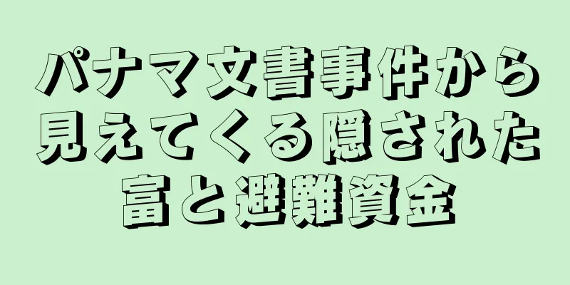 パナマ文書事件から見えてくる隠された富と避難資金