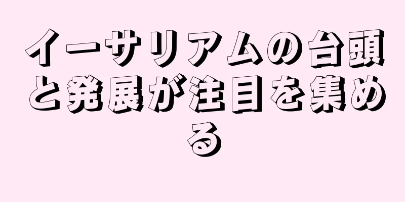 イーサリアムの台頭と発展が注目を集める