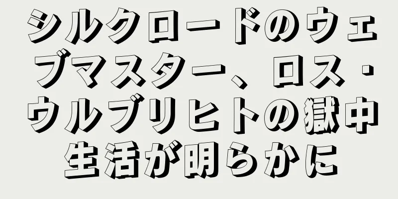シルクロードのウェブマスター、ロス・ウルブリヒトの獄中生活が明らかに
