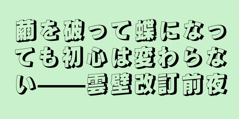 繭を破って蝶になっても初心は変わらない——雲壁改訂前夜