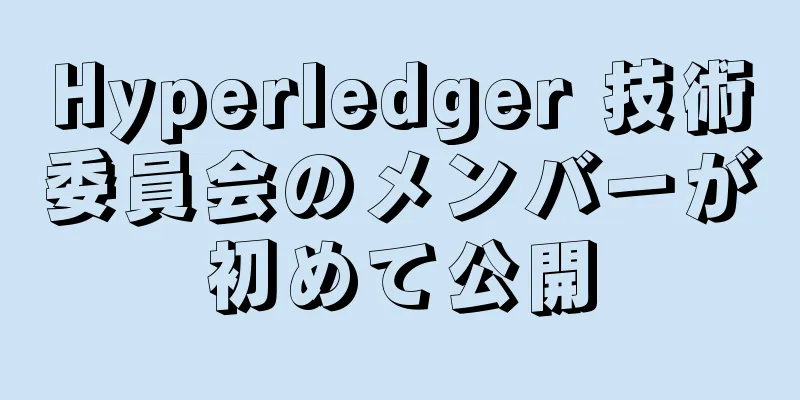 Hyperledger 技術委員会のメンバーが初めて公開