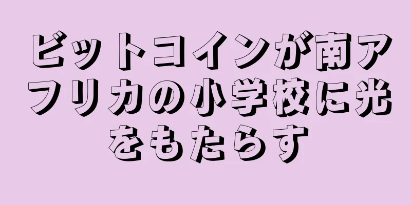 ビットコインが南アフリカの小学校に光をもたらす