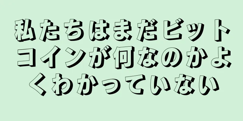 私たちはまだビットコインが何なのかよくわかっていない