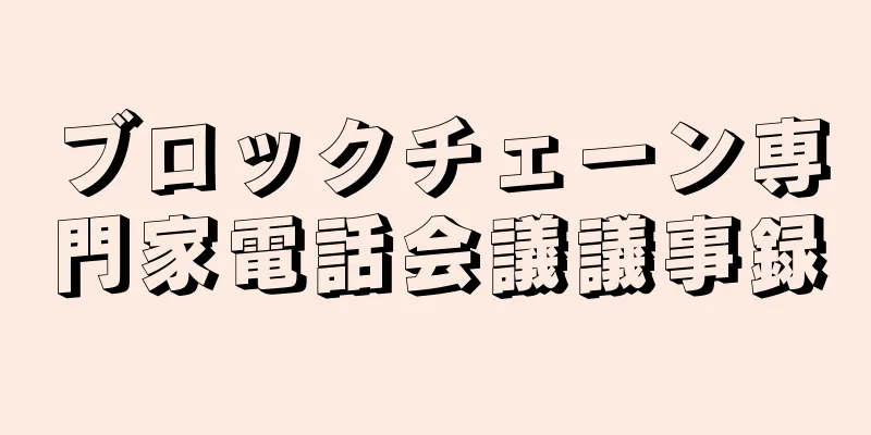 ブロックチェーン専門家電話会議議事録