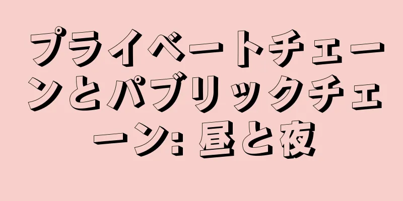 プライベートチェーンとパブリックチェーン: 昼と夜