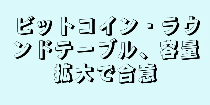 ビットコイン・ラウンドテーブル、容量拡大で合意