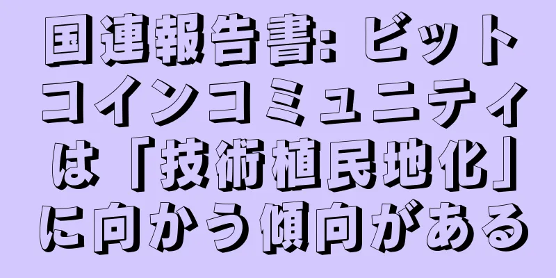 国連報告書: ビットコインコミュニティは「技術植民地化」に向かう傾向がある