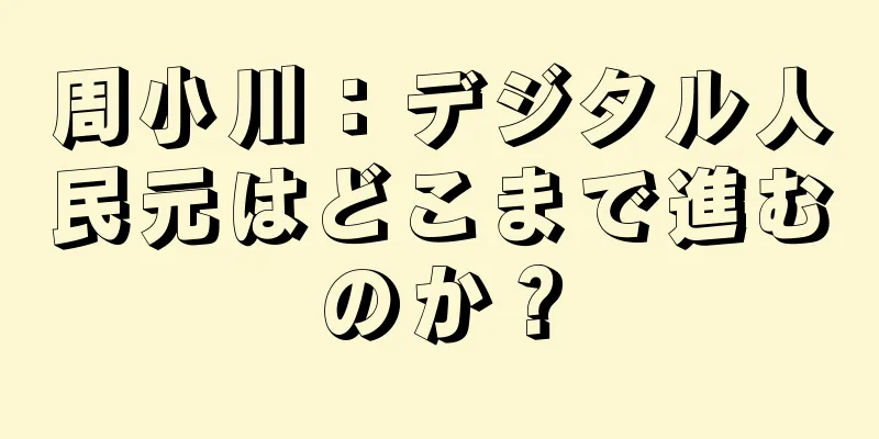 周小川：デジタル人民元はどこまで進むのか？