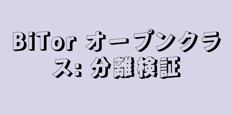 BiTor オープンクラス: 分離検証