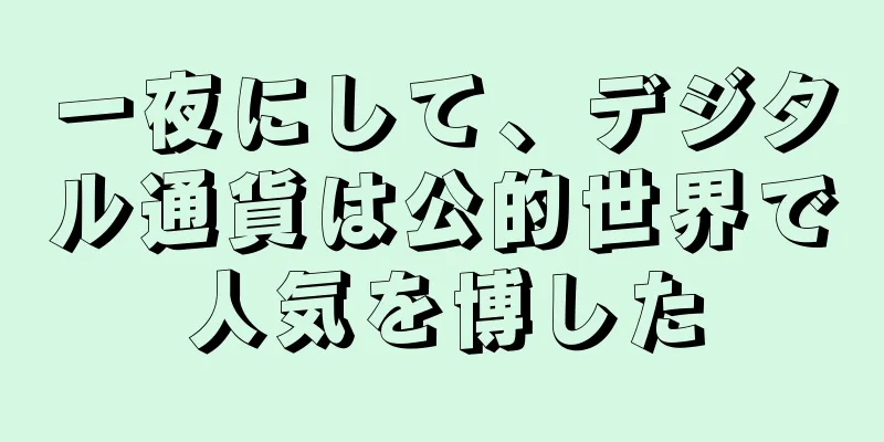 一夜にして、デジタル通貨は公的世界で人気を博した