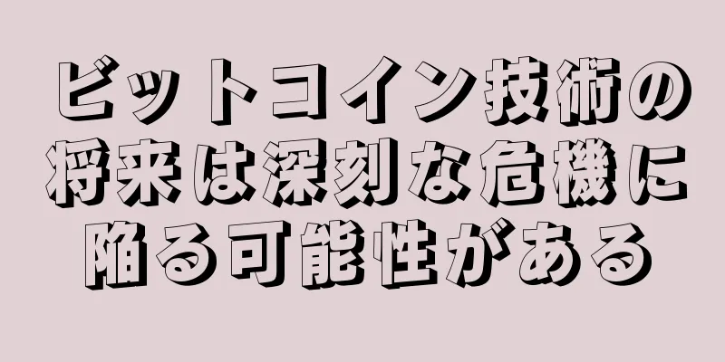 ビットコイン技術の将来は深刻な危機に陥る可能性がある
