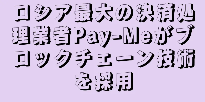 ロシア最大の決済処理業者Pay-Meがブロックチェーン技術を採用