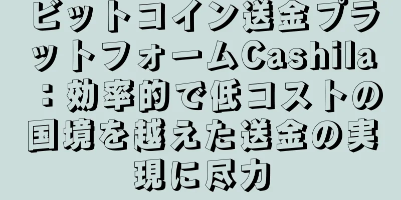 ビットコイン送金プラットフォームCashila：効率的で低コストの国境を越えた送金の実現に尽力