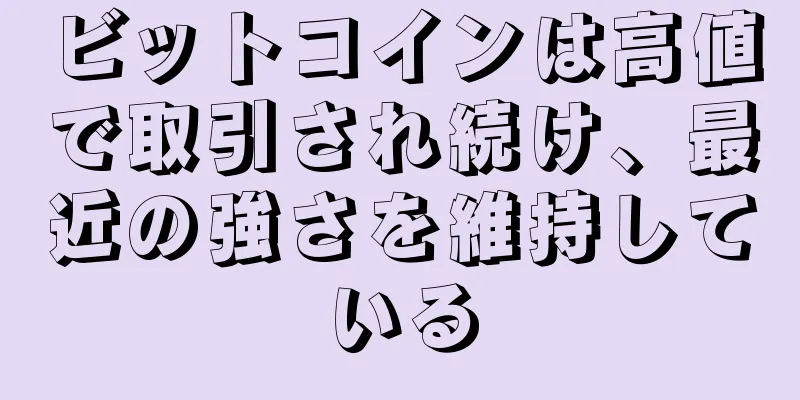 ビットコインは高値で取引され続け、最近の強さを維持している
